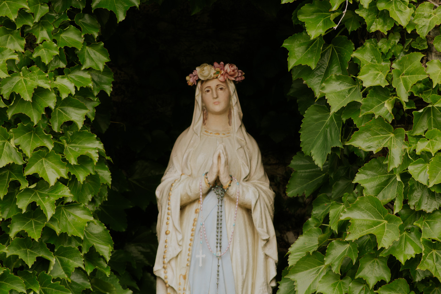 Come to the Wolfhound Cook-Off